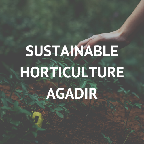 Sustainable Horticulture