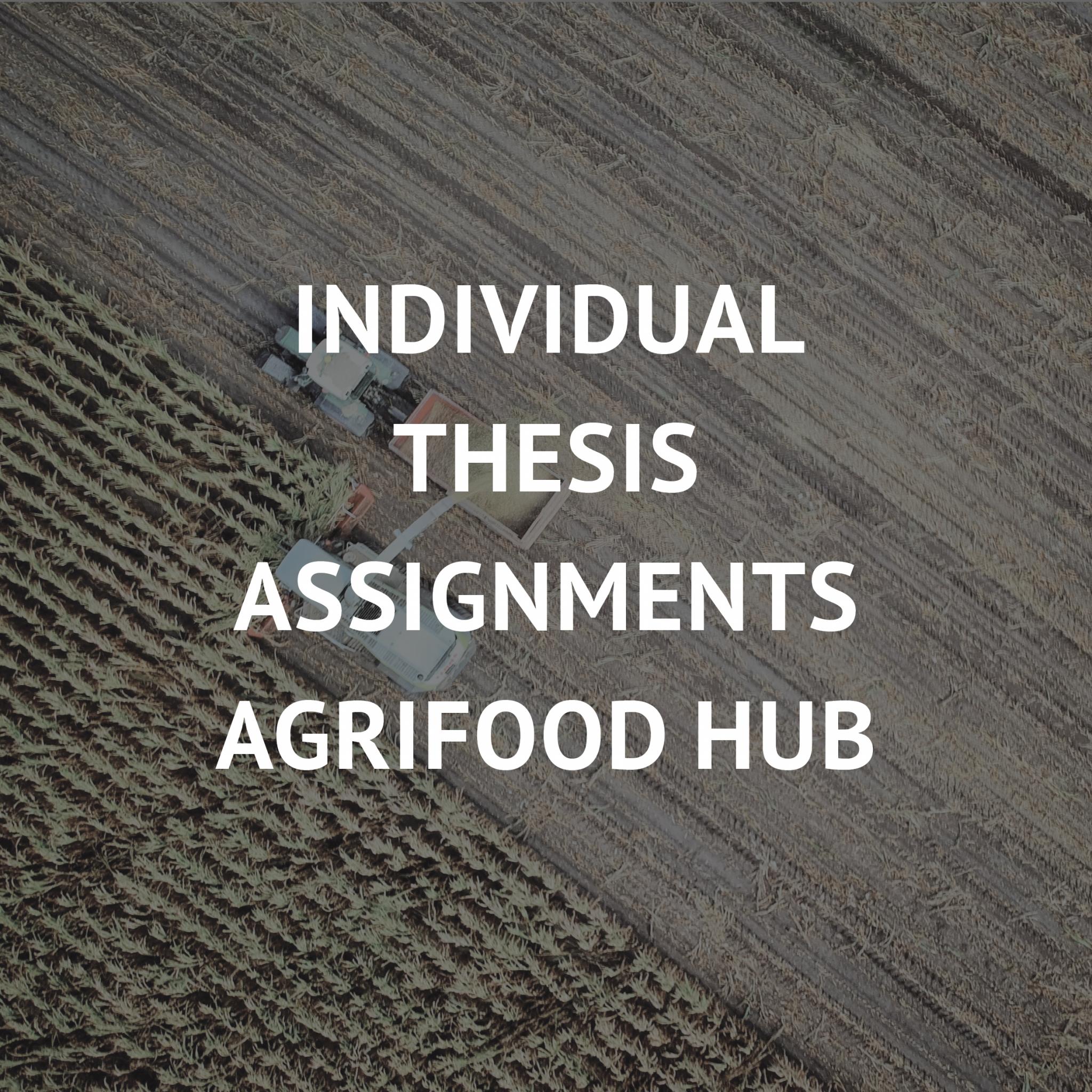 Individual Assignments Agrifood Hub