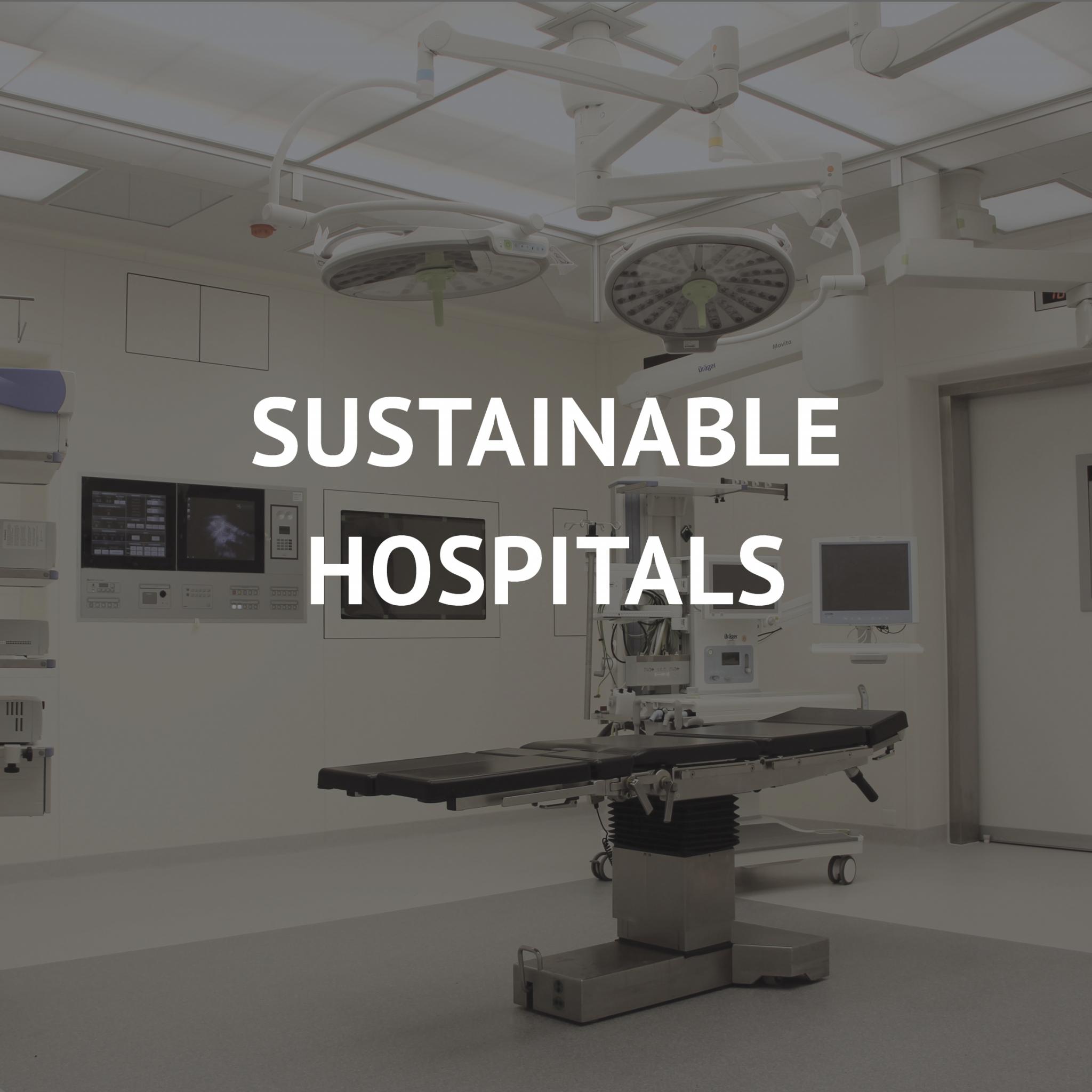 Sustainable Hospitals Button