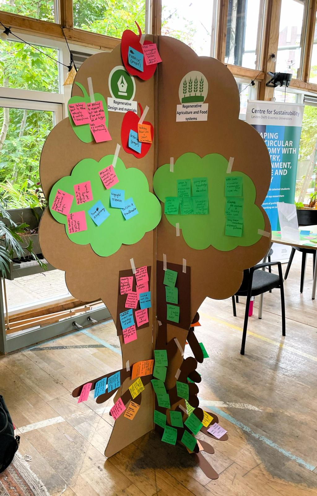 tree regeneration event