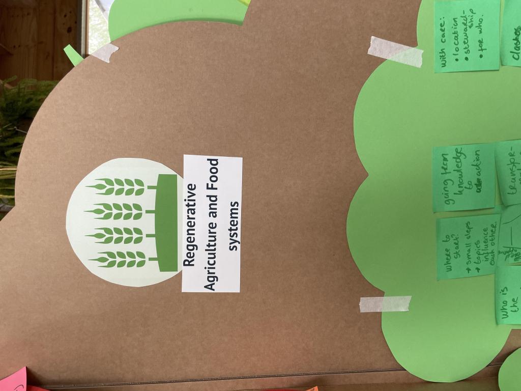 tree regeneration event