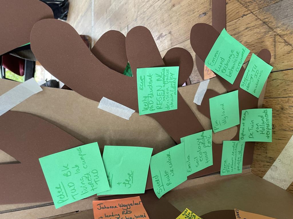 tree regeneration event