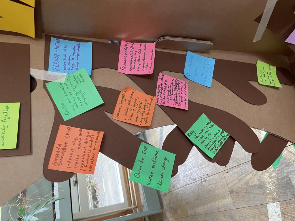 tree regeneration event