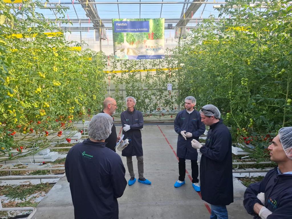 innovaties in de kas