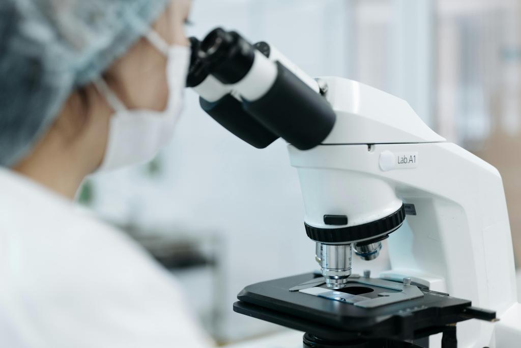 lab