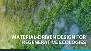 thumbnail talk stefano