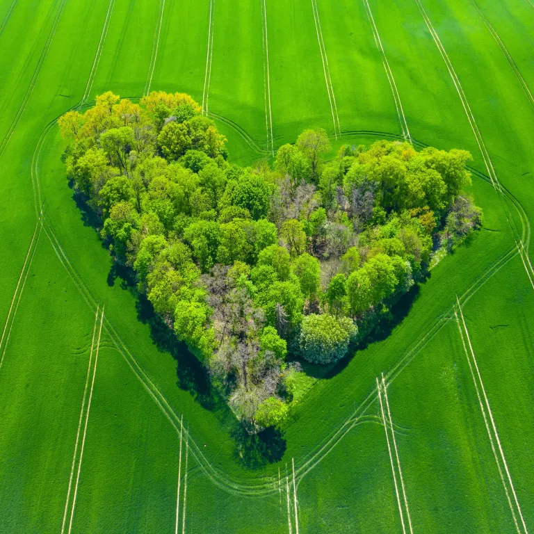 groen hart