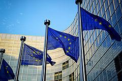 EU Flags