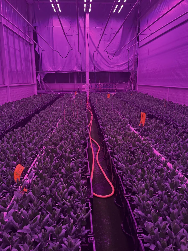 Horti Centre