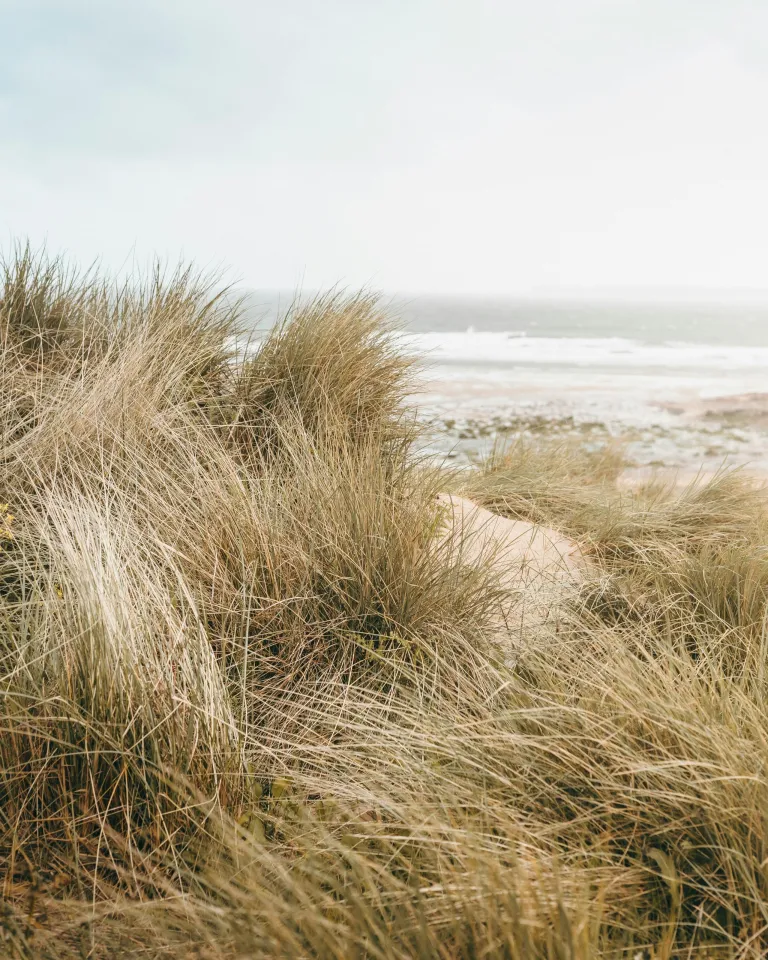 dune beach