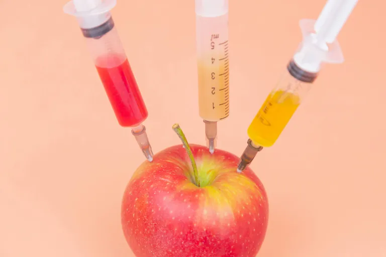 food apple