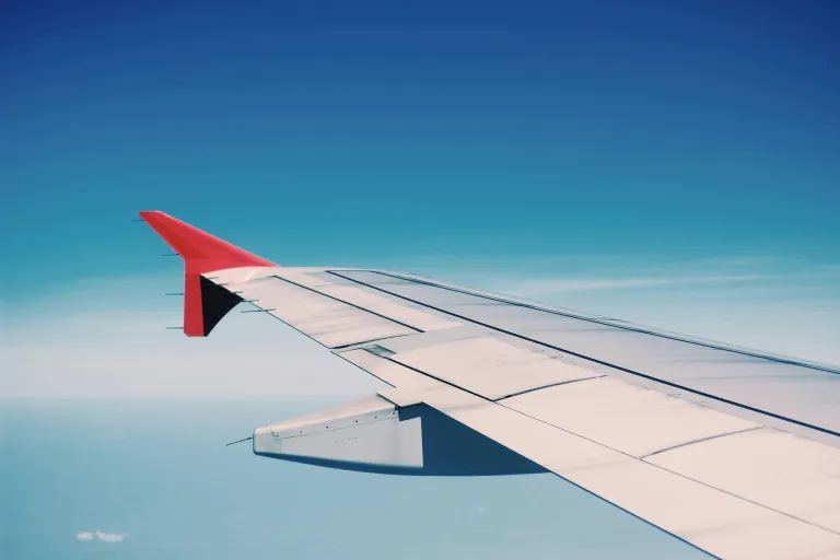 AIRPLANE WING