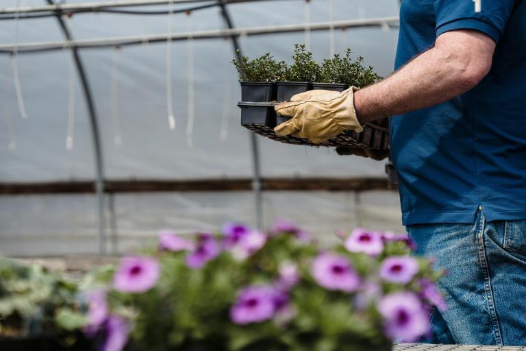 Glastuinbouw en biodiversiteit