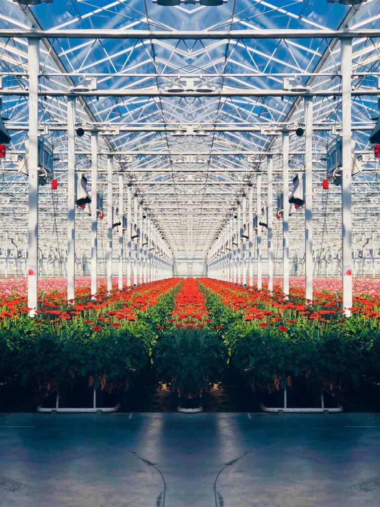 tuinbouw
