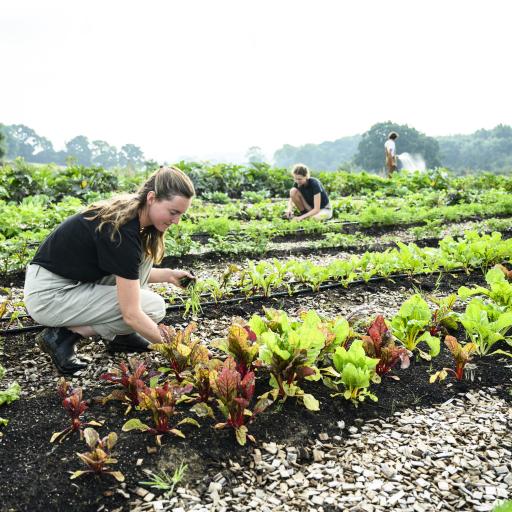biodiversiteit 