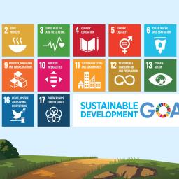 SDGs