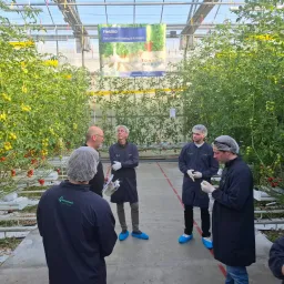 innovatie in de kas