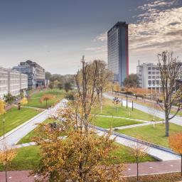 TU Delft