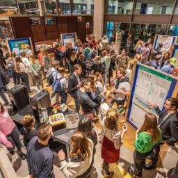 Paddenstoelen, erfgoed en banken: op zoek naar oplossingen voor complexe uitdagingen header