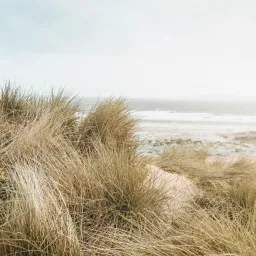 dune beach