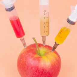 food apple