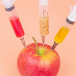 food apple