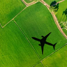 airplane