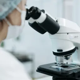 lab