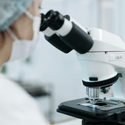 lab