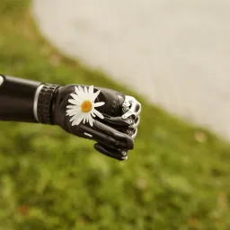 robot flower