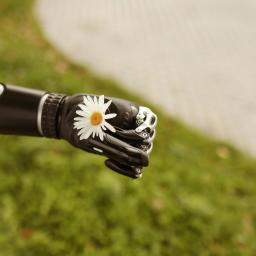 robot flower