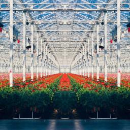 tuinbouw